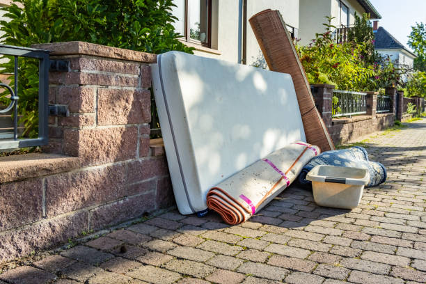 Yard Cleanup Services in New Hope, MN